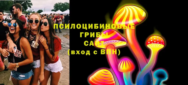 Галлюциногенные грибы MAGIC MUSHROOMS  Кущёвская 